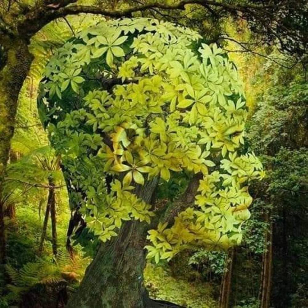 Meet your Posher, Yem